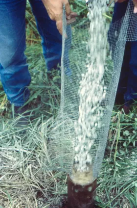 filling an abandoned well